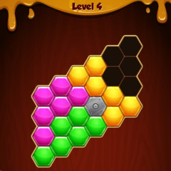 Hexa Puzzle