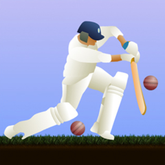 Little Master Cricket