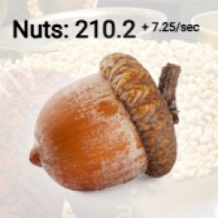 Nuts Simulator