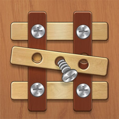 Woodnuts Bolts Puzzle